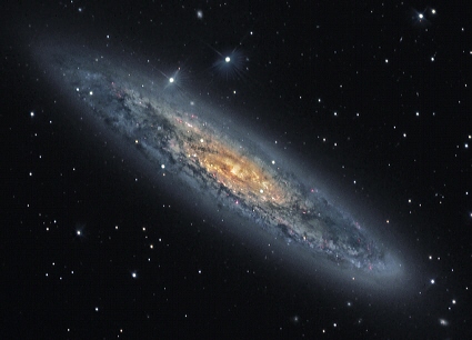 Image of the galaxy NGC 253