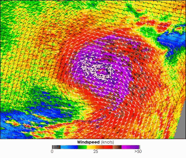 Typhoon Nesat wind speed data from the QuickScat satellite