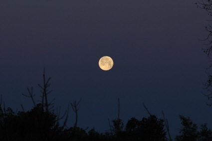 Photo of the setting Moon