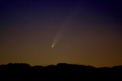 Image of Comet McNaught